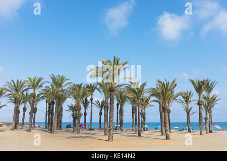 Torremolinos Costa del sol, provincia di Malaga, Andalusia, Spagna meridionale. spiaggia Playamar. Foto Stock