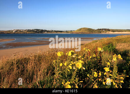 Guardando attraverso il cammello estuario dal punto di pistola, padstow verso trebetherick, North Cornwall. brea hill è prominente nel mezzo di distanza. Foto Stock