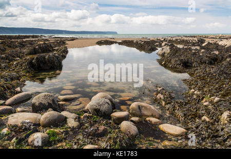 Rock pool view: dettagli colorati di un rock pool a bassa marea con vista in lontananza clovelly e Hartland Point. babbacombe cliffs, vicino bucks mills. offerta Foto Stock