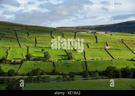 Mosaico di campi verdi sopra il fiume swale nei pressi di Reeth nel Yorkshire Dales, Inghilterra. Foto Stock