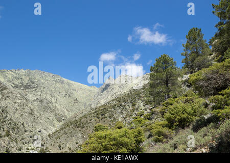 Gran-Gayalo, Sierra de Gredos, Spagna Foto Stock