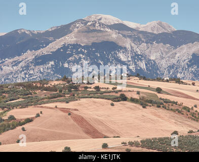 Il paesaggio agricolo, abruzzo colline, maiella mountain in background e gli Appennini, Italia Foto Stock