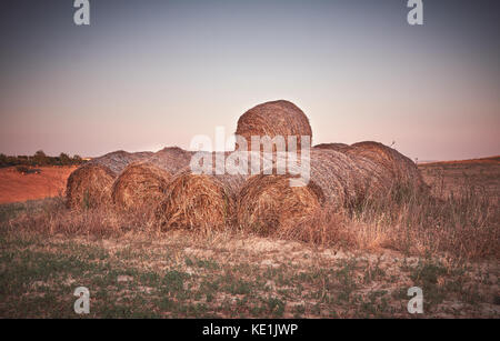 Vecchie balle di fieno in campo rurale Foto Stock