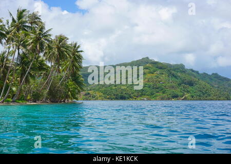 Polinesia francese huahine isola il paesaggio costiero con palme di cocco visto dalla laguna vicino faie, oceano pacifico del Sud e Oceania Foto Stock