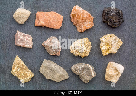 Roccia sedimentaria geologia raccolta, dalla parte superiore sinistra: siltstone, roccia arenaria sale, carbone, calcare, arkose, conglomerati, fossiliferi di calcare, mu Foto Stock