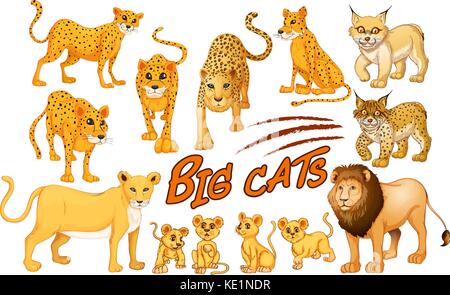 Diversi tipi di Lion e illustrazione di Tiger Illustrazione Vettoriale