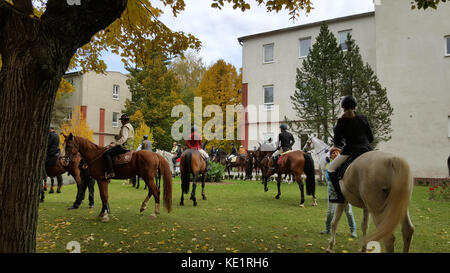 Cavalli e Cavalieri a kosice university sulla Slovacchia durante una giornata di ottobre Foto Stock