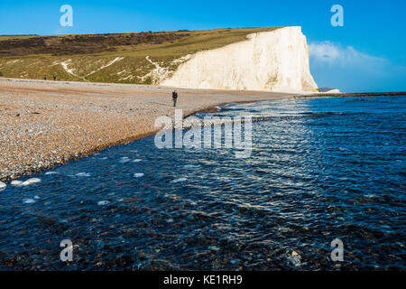 Cuckmere Haven Beach, East Sussex, Inghilterra. Paesaggio di gesso pinna e paludi salmastre con grandi risorse faunistiche Foto Stock