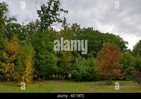 Popolare il parco nord per il resto con autunnale di vecchia foresta nel quartiere vrabnitsa, sofia, Bulgaria Foto Stock