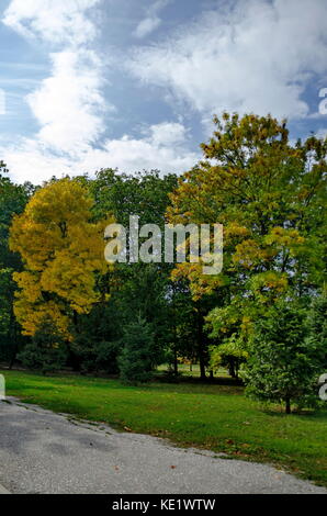 Popolare il parco nord per il resto con autunnale di vecchia foresta nel quartiere vrabnitsa, sofia, Bulgaria Foto Stock