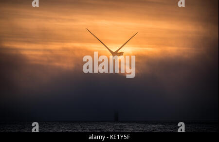 Una turbina eolica su Walney Estensione del parco eolico offshore avvolta nella nebbia durante il tramonto Foto Stock