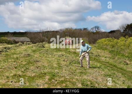 Lavoratore volontario di tagliare il fieno con la falce tradizionali nel settore costiero Foto Stock