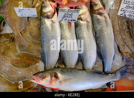 Pesce bagnato display sul contatore di pescivendoli, Dorset, Inghilterra Foto Stock