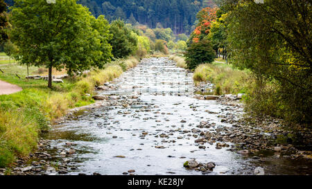 Il fiume dreisam in Freiburg im Breisgau. prese vicino allo stadio di calcio di sc freiburg su un golden giornata di ottobre. Foto Stock