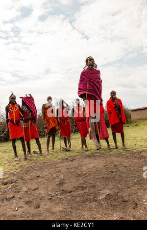 Uomini Maasai che ballano e saltano nel Masai Mara, Kenya Foto Stock