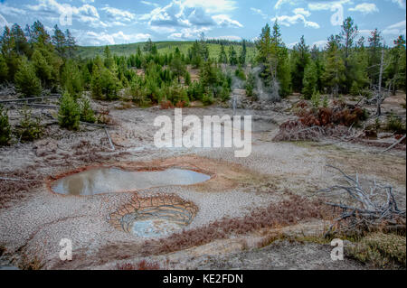 Agosto 22, 2017 - Parco nazionale di Yellowstone Foto Stock