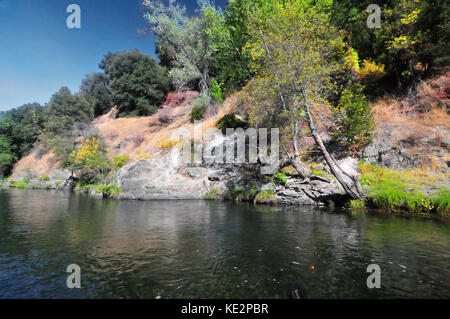 Un sacco di belle steelhead appendere fuori lungo i litorali panoramici nella splendida Trinity River. Foto Stock