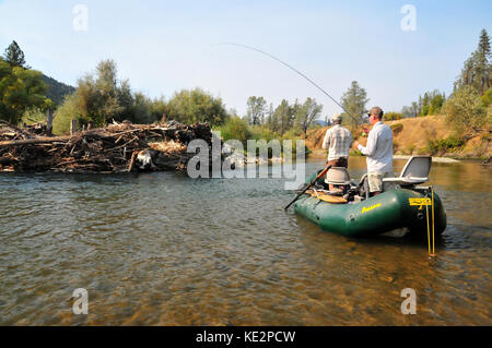 Un pescatore a mosca cerca un bel steelhead da un deadfall lungo il bellissimo fiume della Trinità. Foto Stock