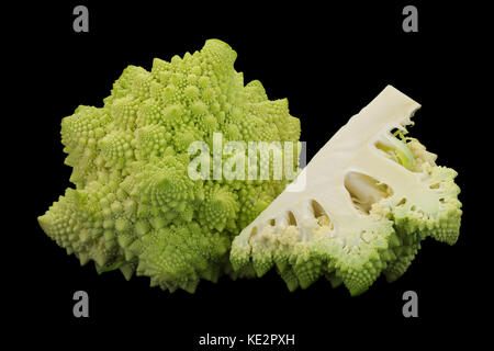 Cavolo broccolo romanesco iolsted su sfondo nero Foto Stock