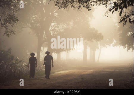 Due turisti di esplorare una nebbiosa mattina nel pantanal del Nord, Brasile Foto Stock