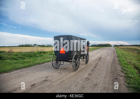 Amish buggy a cavallo sulla strada rurale, northern minnesota, Stati Uniti d'America Foto Stock