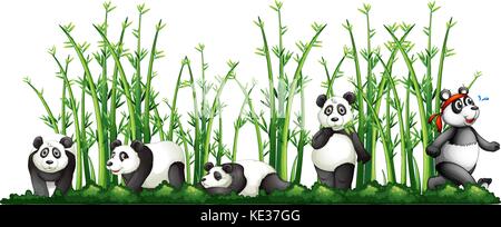 Panda in la foresta di bamboo illustrazione Illustrazione Vettoriale