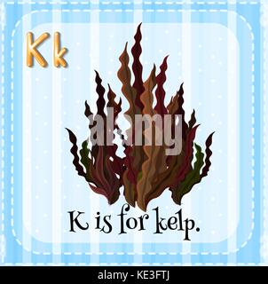 Flashcard lettera k è di kelp illustrazione Illustrazione Vettoriale