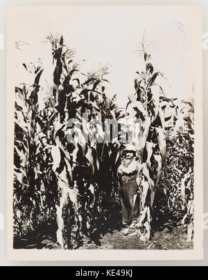 Questa immagine mostra una scena degli anni '1920 che raffigura le pratiche di raccolta. Riflette le tecniche agricole utilizzate all'inizio del XX secolo, con lavoratori impegnati nella raccolta di colture in un campo. Foto Stock