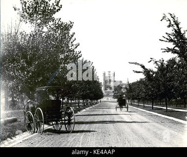 Vista lungo la strada (Lindell Avenue) che conduce al 1904 Fiera Mondiale amministrazione edificio . Sito successivamente occupato da Stato estero di edifici. Amministrazione edificio, più tardi Brookings Hall, in costruzione Foto Stock