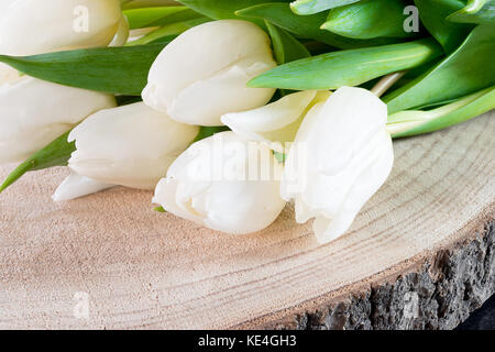 Tulipano bianco fiori su sfondo di legno. Foto Stock