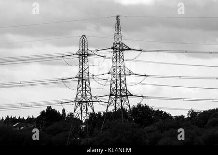 Due tralicci di energia elettrica e di alimentazione dei cavi di trasmissione nella campagna del fiume inferiore Prova, Totton & Ealing, vicino a Southampton, Hants, Regno Unito Foto Stock