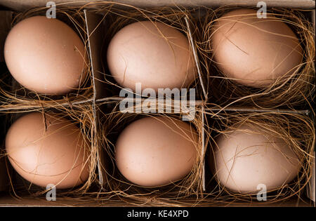 Vista superiore di sei uova di colore marrone in cartone girato in studio Foto Stock