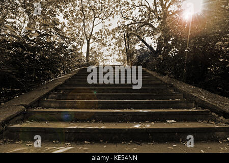 Foto di una magia antica scalinata (al cielo) Foto Stock