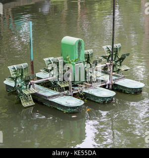 Aeratore ruote a palette riempimento in ossigeno su annulla Foto Stock