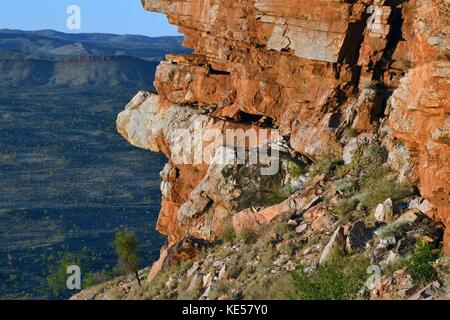 La vista delle gamme della montagna attorno ad Alice Springs, Australia centrale. pic è stata adottata nel novembre 2016. Foto Stock