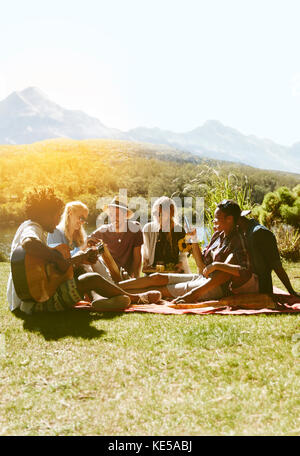 Giovani amici che si esibono, suonano la chitarra e si gustano un picnic in un'erba soleggiata estiva Foto Stock