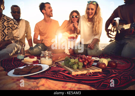 I giovani amici si divertano al picnic estivo Foto Stock