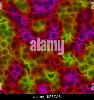 Le cellule al microscopio Foto Stock