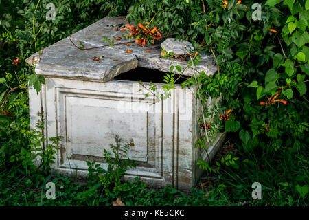 La lapide spezzata nel cimitero di confederati Foto Stock