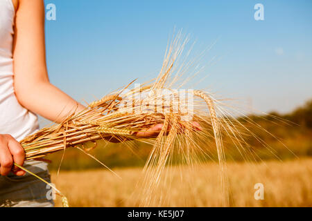 Immagine della ragazza in t-shirt bianca con spikelets segala in mani nel campo Foto Stock