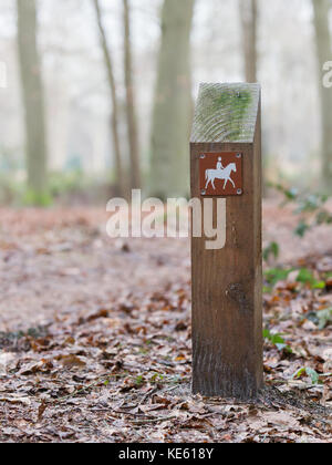 Segno di una horsetrack in un olandese forrest Foto Stock