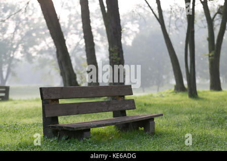 Città verde parco di mattinata nebbiosa Foto Stock