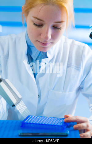 Utilizzando un canale multi pipetta per la elaborazione di pcr nel laboratorio microbiologico Foto Stock