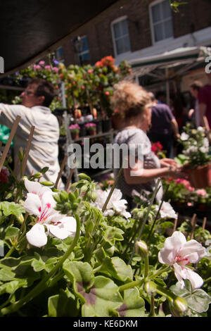 Columbia rd il mercato dei fiori, london e2 Foto Stock