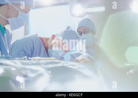 Chirurgo maschile focalizzato che esegue interventi chirurgici su pazienti di sesso femminile in attività camera Foto Stock