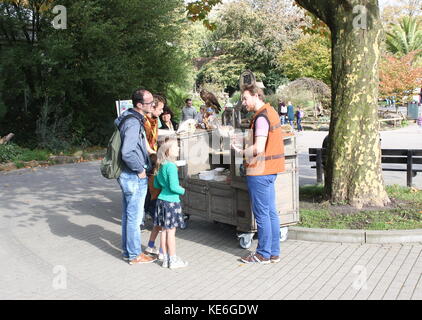 Zookeeper dando istruzione circa gli uccelli rapaci, persone in visita a Rotterdam Blijdorp Zoo, Paesi Bassi. Foto Stock