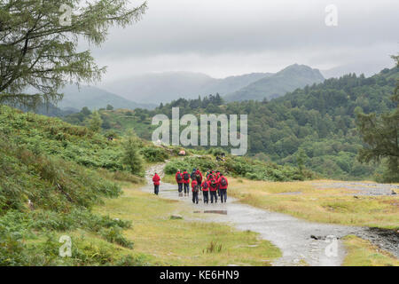 Attività Scolastica Group - Loughrigg terrazza, Lake District, REGNO UNITO Foto Stock