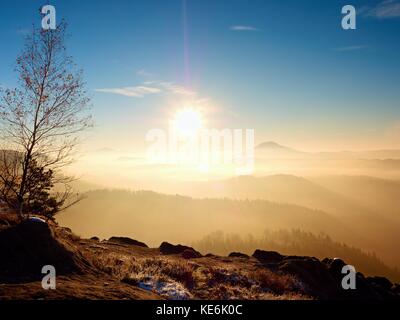 Caduta alba. misty risveglio in una bellissima collina. cime delle colline sono fuori dalla nebbia paesaggio Foto Stock