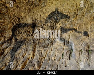 Scoperta di vernice preistorici di cavallo nella grotta di pietra arenaria. spotlight risplende sulla storica pittura umana. carbonio nero cavalli sulla parete di arenaria. La vernice Foto Stock