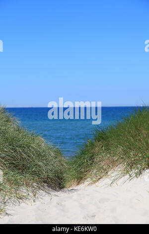 Percorso attraverso le dune di sabbia della spiaggia e del mare Foto Stock